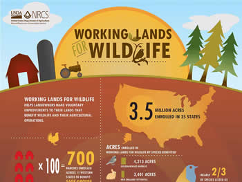 Working Lands for Wildlife: Landowners Improve Habitat for At-Risk Species