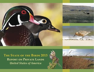 State of the Birds Features Sage Grouse Initiative