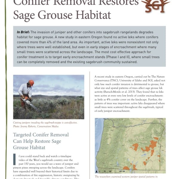 Targeting Early Phase Conifer Removal is Key to Restoring Sage Grouse Habitat