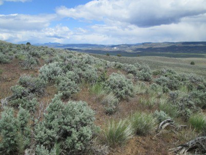 Historic Agreement Signed Today in Eastern Oregon to Benefit Sage Grouse & Ranchers