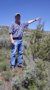 Mundy stands by a young juniper that is typical of the target species. (Stuebner photo)