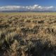 Mapping Potential Ecosystem Resilience and Resistance across Sage-Grouse Range using Soil Temperature and Moisture Regimes