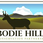 BodieHills_Logo_FINAL_OL