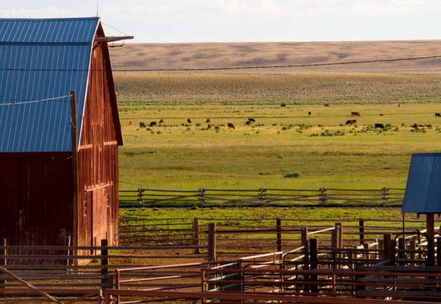 The Conservation Fund permanently protects thousands of acres of crucial habitat, like the Espenscheid Ranch in Wyoming's Green River Valley
