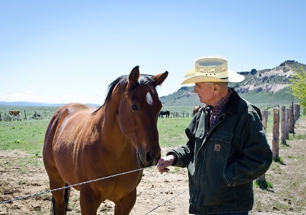 Rockin’ TD Ranch Champions Rangeland Conservation in Nevada
