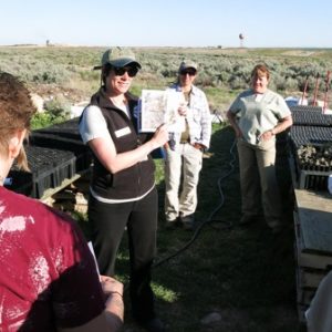 Inmates at Idaho State Correctional Center water and care for 60,000 sagebrush and bitterbrush seedlings