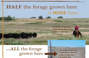 Learn more about conservation strategies that benefit producers and lesser prairie-chickens by clicking this image.