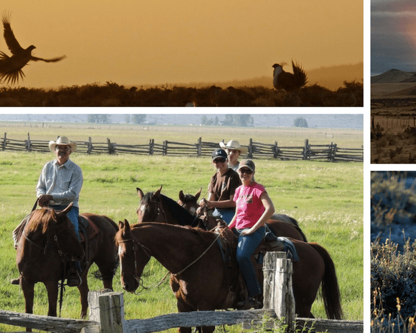 New USFWS Collaboration Expands Science Tools To Sage-Steppe