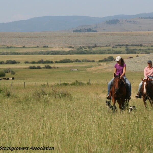 “Ranching Gone Right,” Thanks To Partners Like The Nature Conservancy