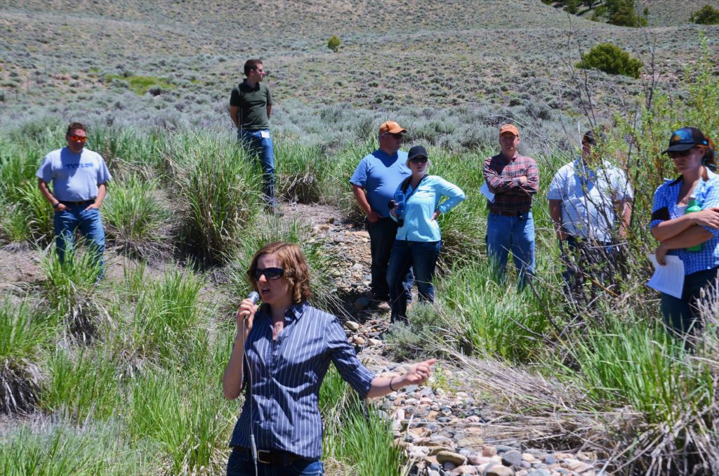 Liz With from the NRCS Gunnison field office describes different types of habitat conservation efforts in the Gunnison Basin to 150 workshop participants during the field tour. Photo: Brianna Randall