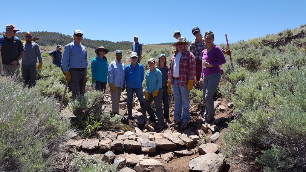 Team members built this one-rock dam on public lands outside of Gunnison during the hands-on wet meadow restoration training workshop. Photo: Brianna Randall
