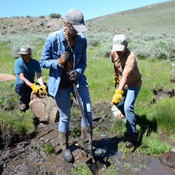 Starter Guide For Healing Degraded Meadows With Hand-Built Structures In Sagebrush Country