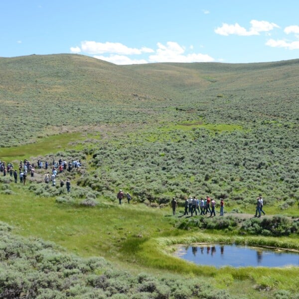 New Framework Helps Plan Next Generation Of Sagebrush Restoration