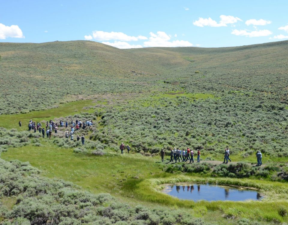 wide open sagebrush with mesic habitat
