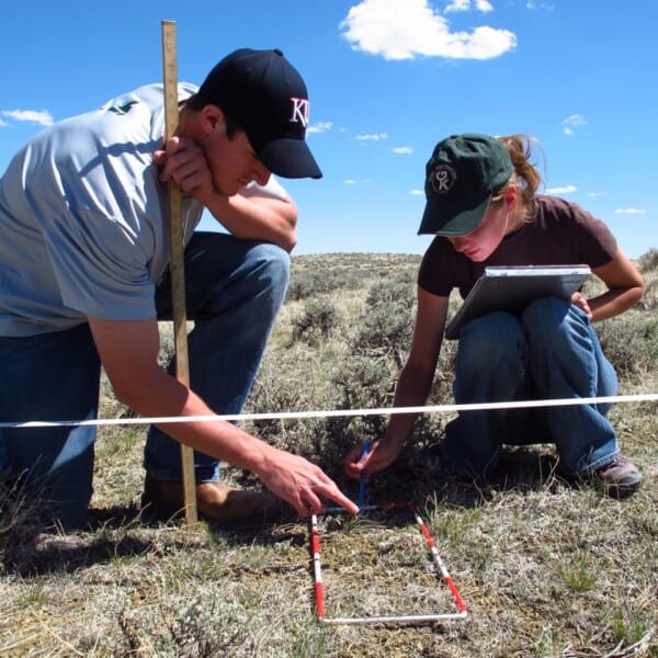 Taking the Bias Out of Sage Grouse Nesting Studies