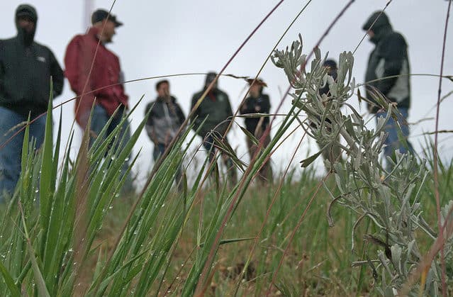 In Idaho, agencies and landowners work together to restore sagebrush range. Photo: L. Ridenhour, BLM Flickr
