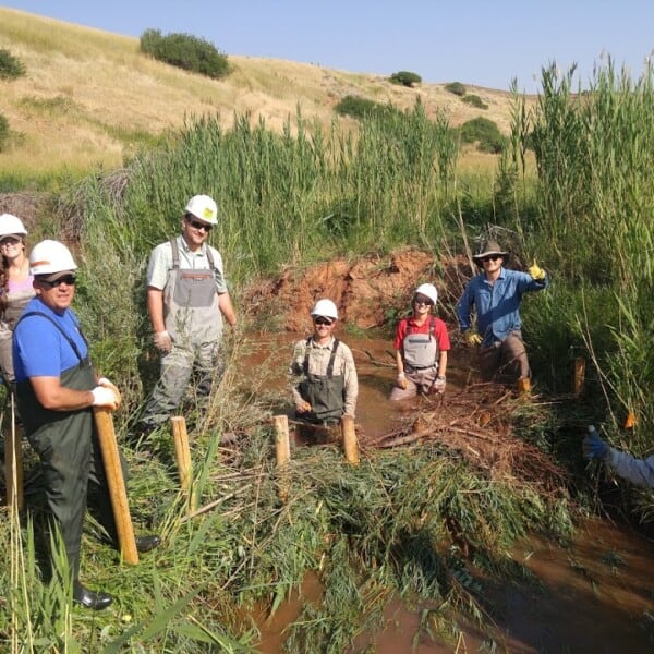 What Is Low-Tech Stream Restoration?