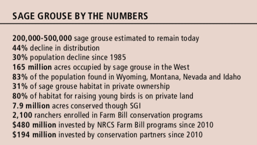 Sage Grouse By the Numbers