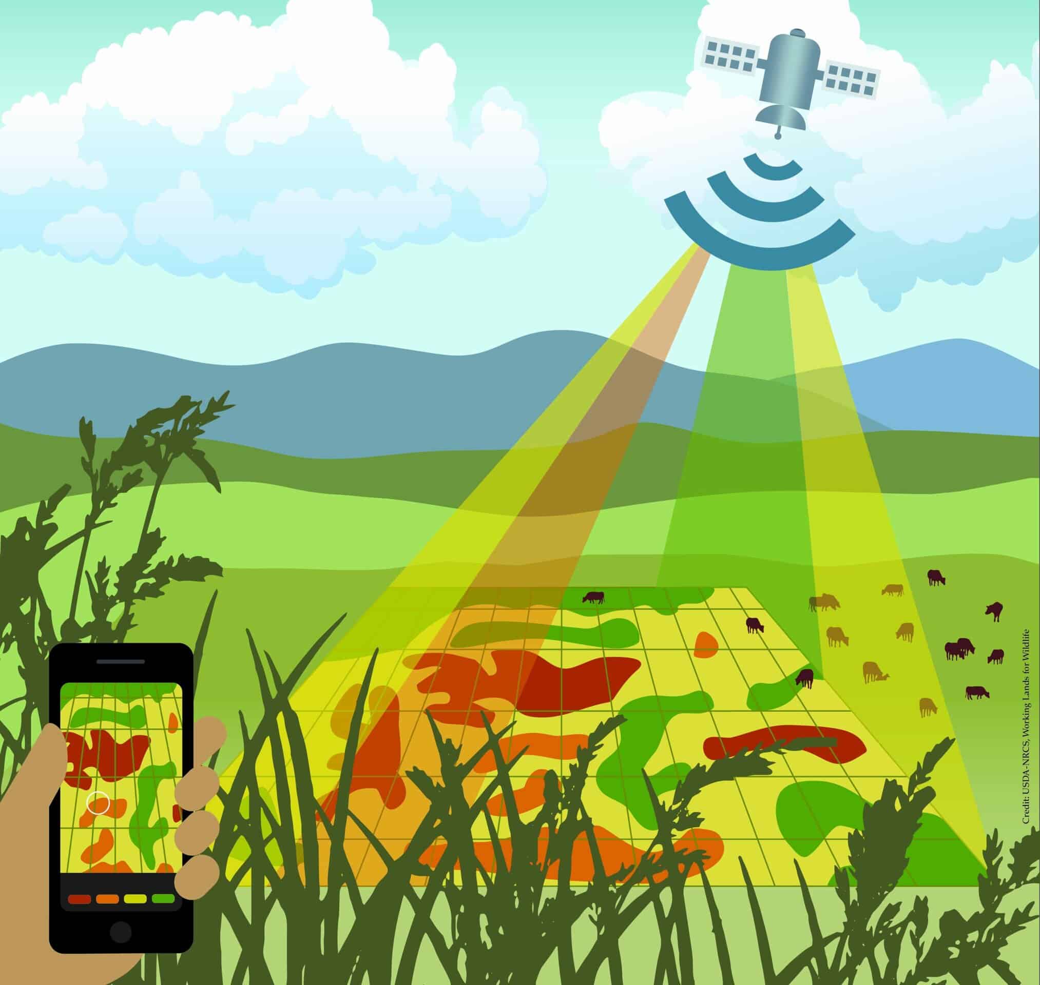 This free online resource combines current and historical satellite imagery with thou-sands of on-the-ground vegetation measurements and displays them near-instantaneously as simple graphs and maps.