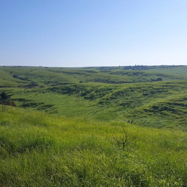 The Last Continuous Grasslands on Earth