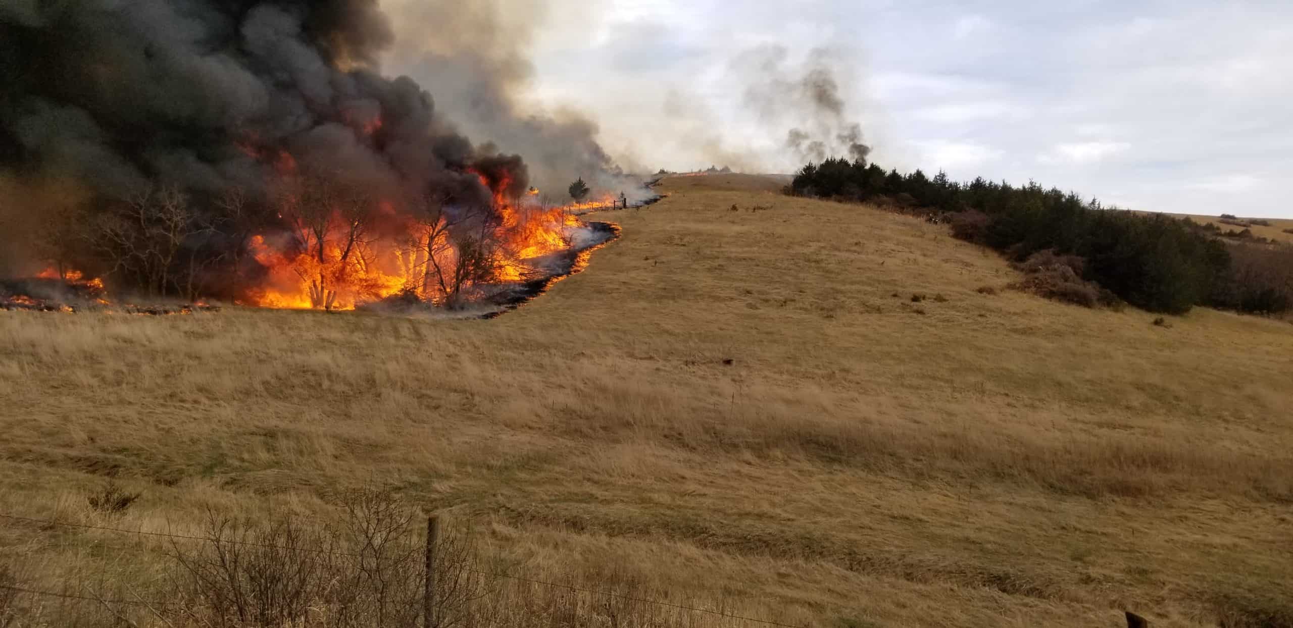 Prescribed Fire in Loess Canyons