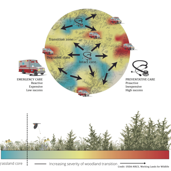 “Defend the Core” — Fighting back against woody invaders on the Great Plains