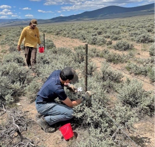 Fixing fencing SWMT conservation corps