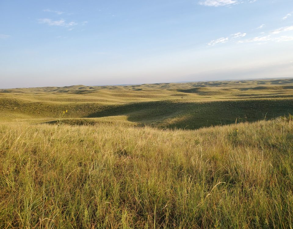 Nebraska's Sandhills, one of the largest intact grassland regions on the planet, according to research from Dr. Dirac Twidwell. Photo: Dillon Fogarty