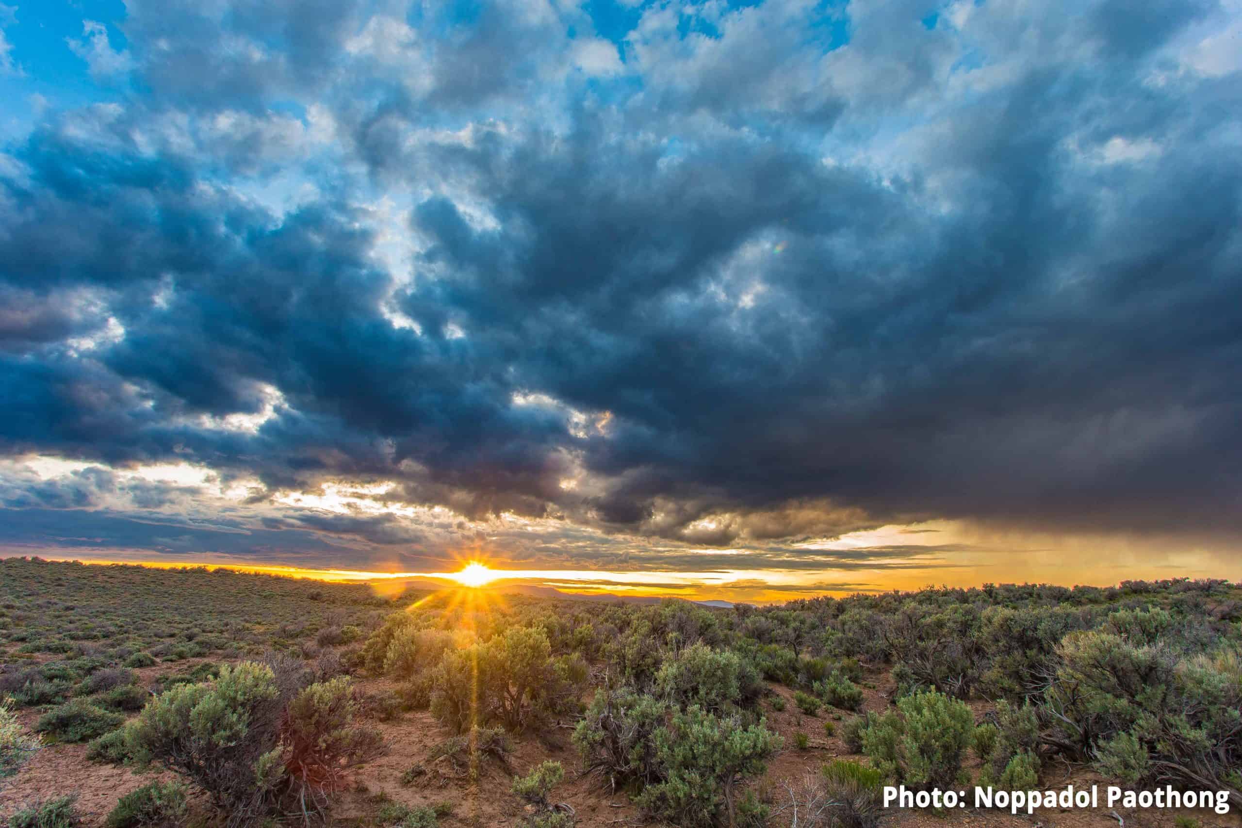 Sagebrush range in Nevada