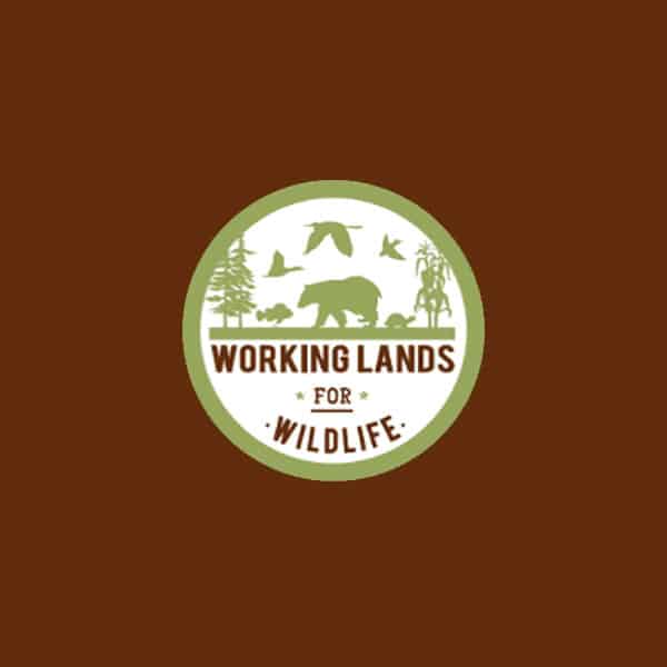 Western Working Lands for Wildlife 2019 Workshop – Rangeland Resiliency