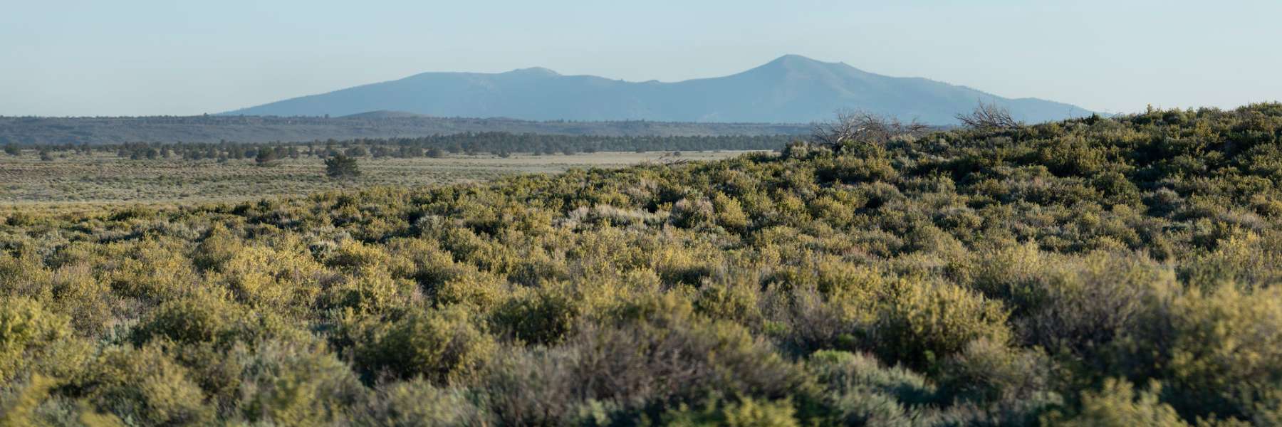 Sagebrush Landscape header – Jeremy Roberts-ConservationMedia(1)