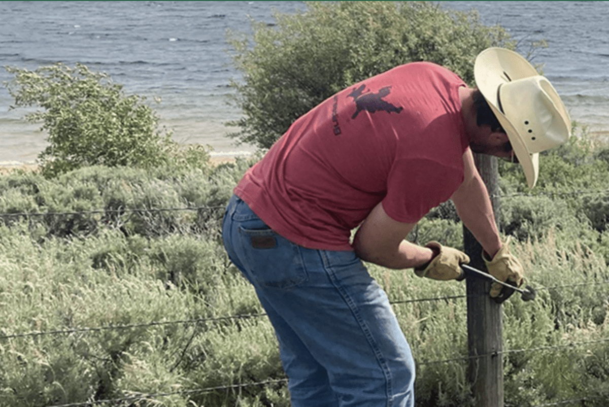 Rancher making fencing wildlife friendly
