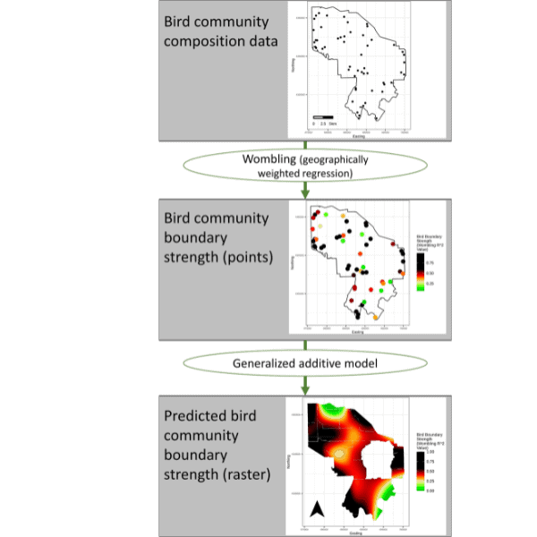 Tracking spatial regimes in animal communities: Implications for resilience-based management