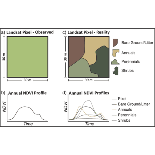 Rangeland Productivity Partitioned to Sub-Pixel Plant Functional Types