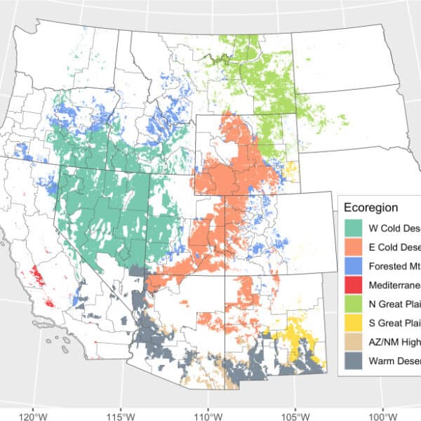 Research provides first-ever analysis of vegetation trends on BLM lands across West