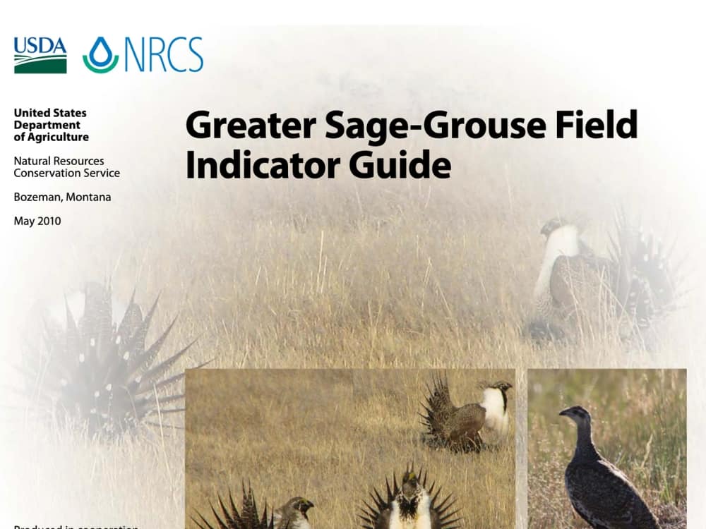 GSG Field guide 3×4 image