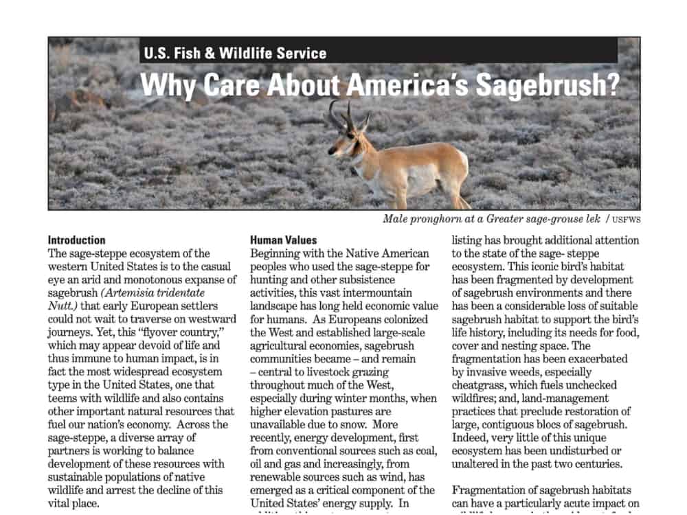 Why Care About Sagebrush-USFWS 3×4 image