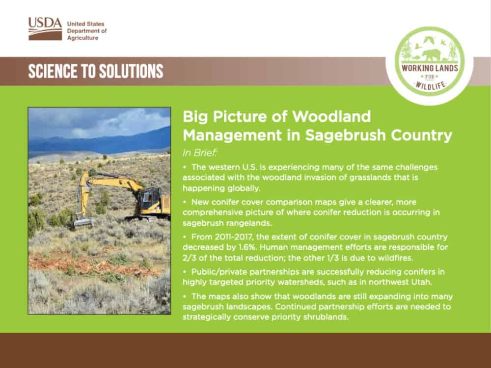 s2s-4×3-Big Picture of Woodland Management in Sagebrush Country