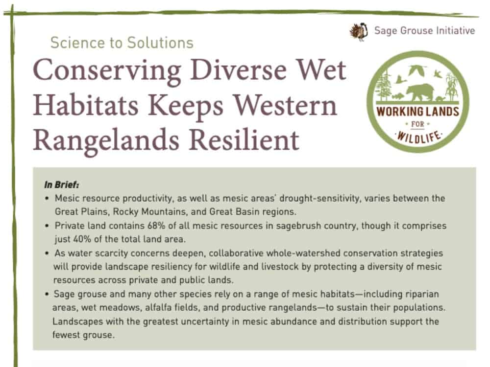 s2s-4×3-Conserving Diverse Wet Habitats Keep Western Rangelands Resilient