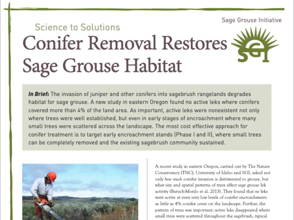 s2s-4×3-conifer removal restores sage grouse habitat