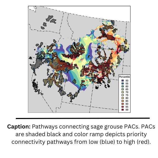 The ties that bind the sagebrush biome: integrating genetic connectivity into range-wide conservation of greater sage-grouse