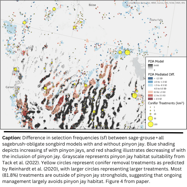 Optimizing Targeting of Pinyon-Juniper Management for Sagebrush Birds of Conservation Concern While Avoiding Imperiled Pinyon Jay