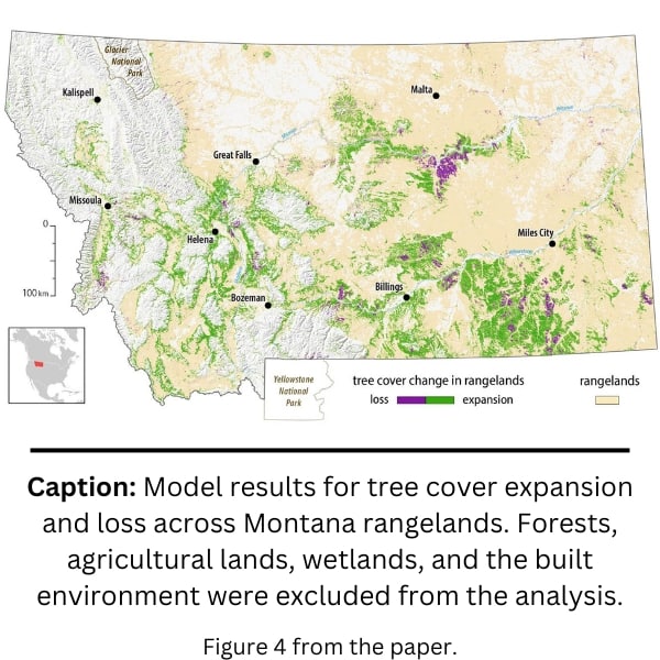 Mapping Tree Cover Expansion In Montana, U.S.A. Rangelands Using High-Resolution Historical Aerial Imagery