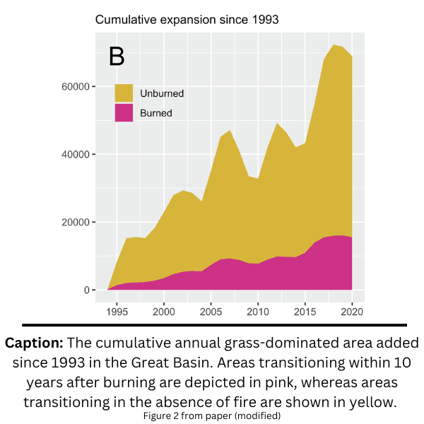 Figure 2 from paper showing amount of invasive annual grass transitions with and without fire.