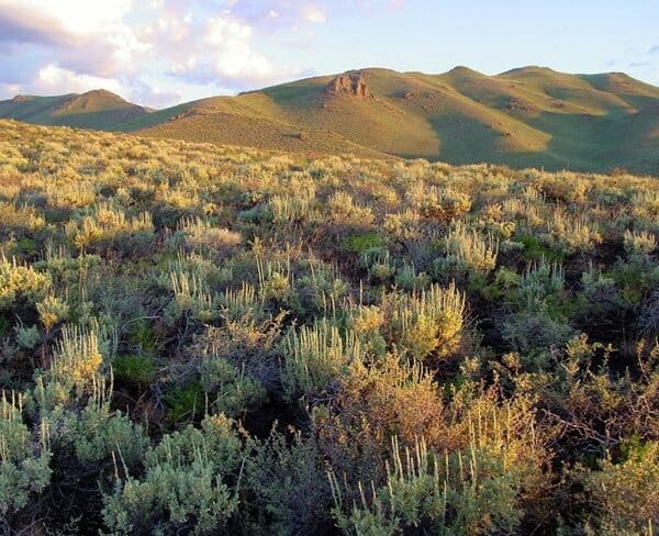 Conservation Easements Continue to Protect Idaho’s Pioneers-To-Craters Landscape