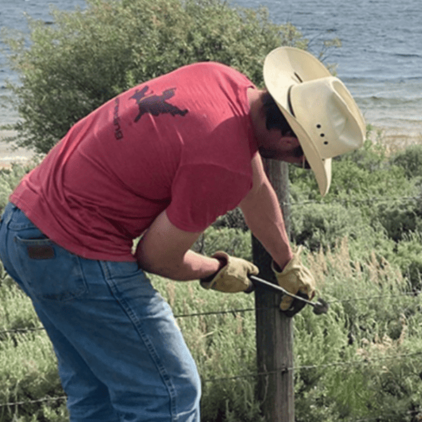 Making Fences Friendlier for Ranchers and Wildlife