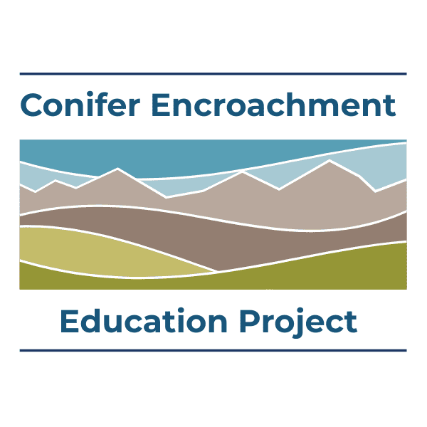 Announcing the Conifer Encroachment Education Project