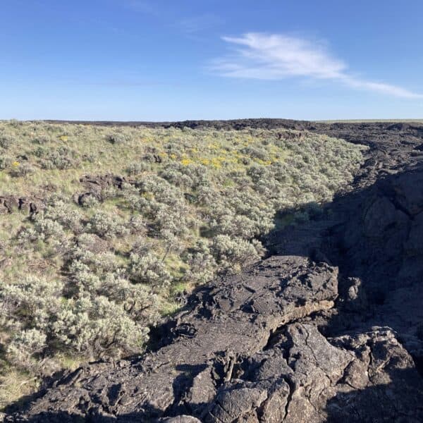 Western Working Lands Snapshot | Kīpuka in the Sagebrush Biome