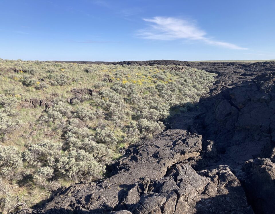 kipuka are islands of vegetation surrounded by lava