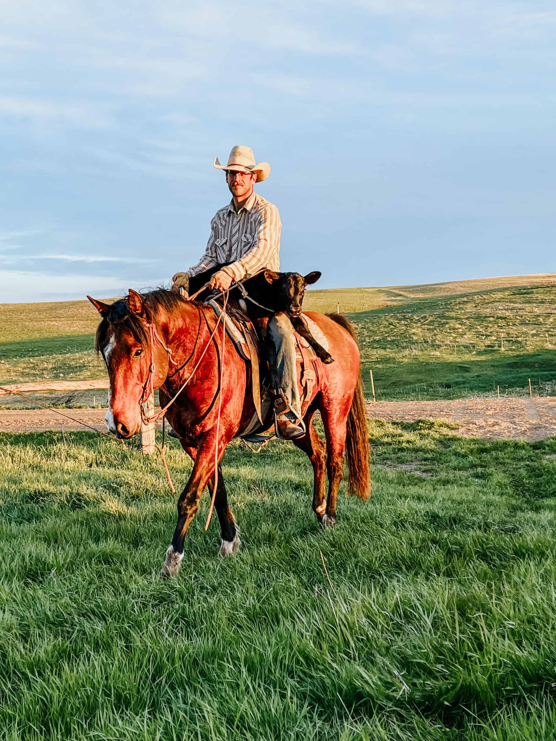 rancher riding horse through grasslands